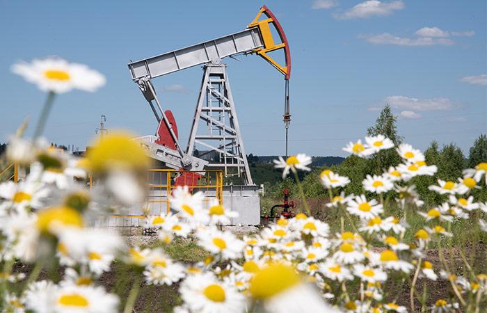 Кабмин готовит дополнительные меры поддержки топливного рынка России