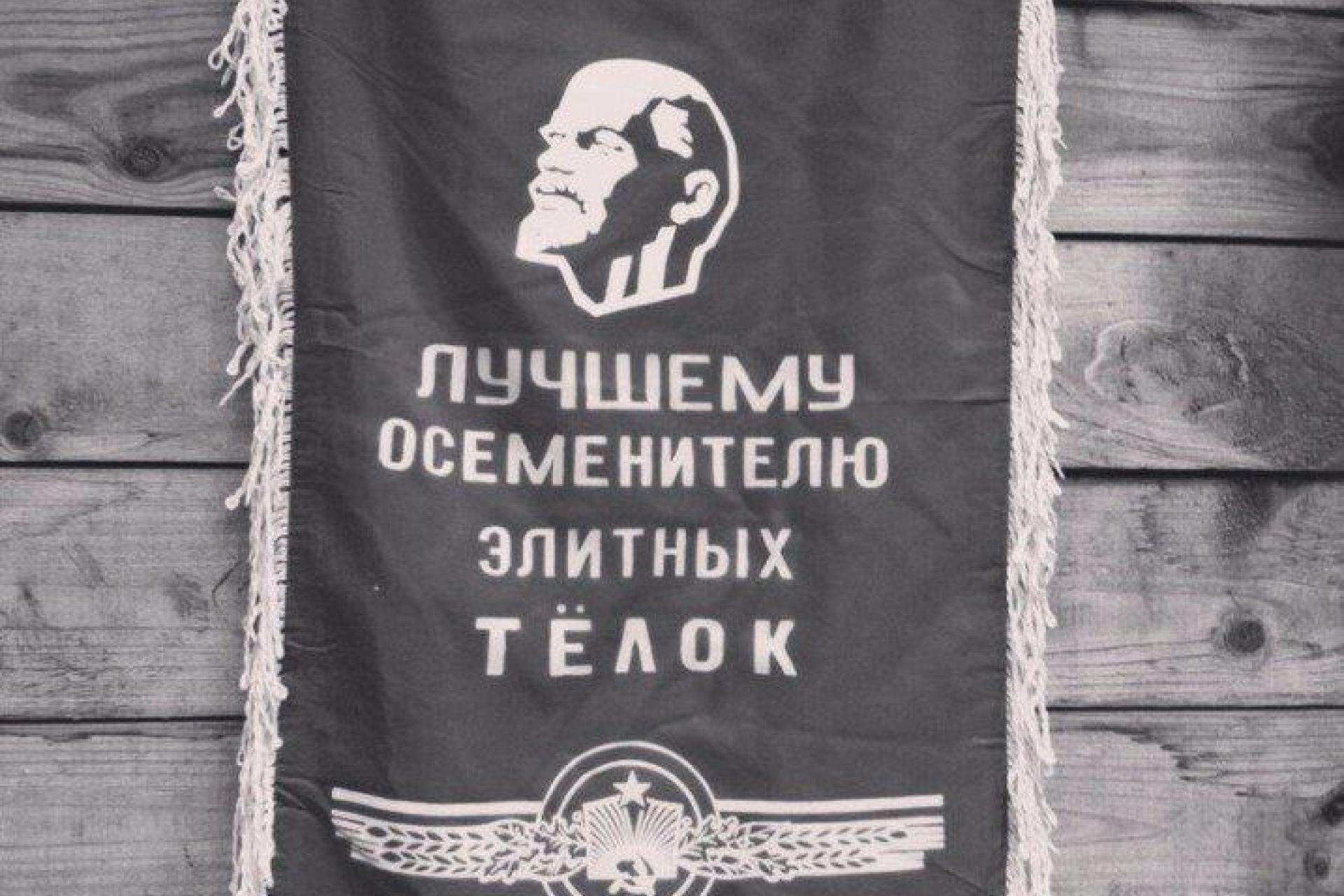 Акции девелопера «ПИК» выросли на 10% на новостях о пересмотре дивидендной политики