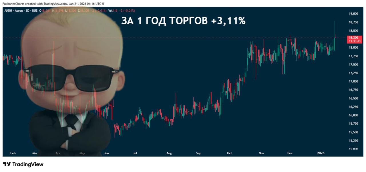 ПАО «Акрон» включено в перечень значимых организаций, расширяя возможности контроля российских бенефициаров