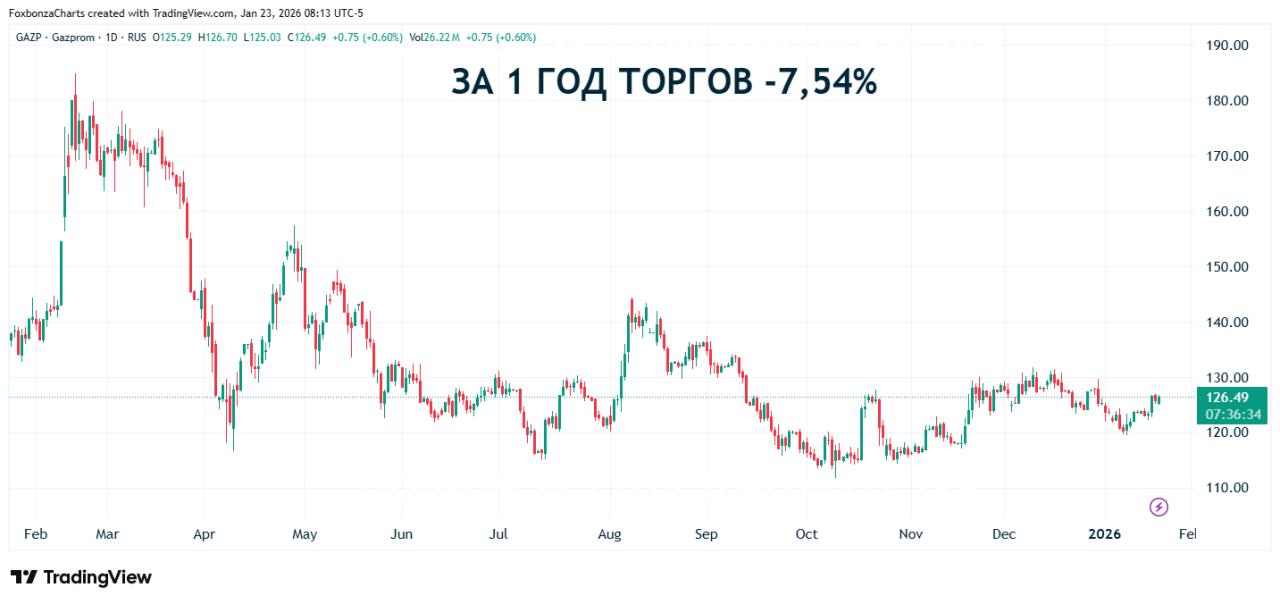 «Газпром» вложил более триллиона рублей в газификацию России за пять лет