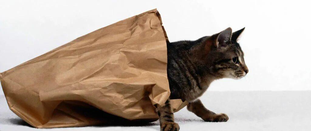 ЦБ РФ утвердил правила обязательной маркировки ценных бумаг компаний с ограниченным раскрытием информации