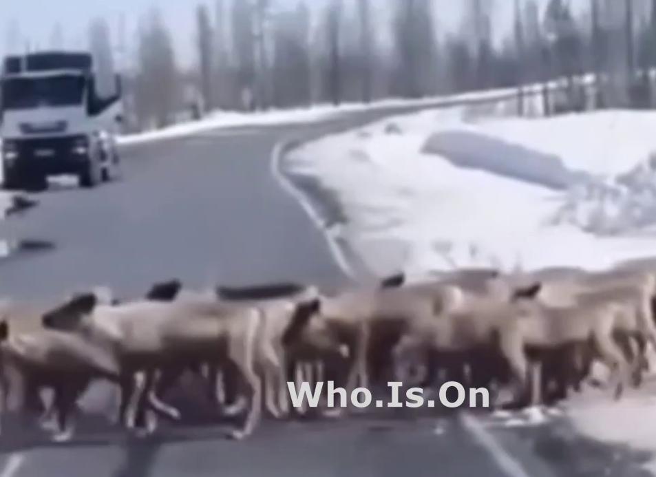 Ужесточение банковских нормативов усилит переток заемщиков на рынок облигаций