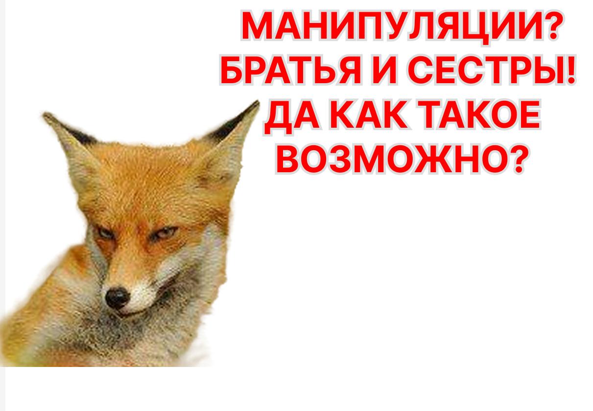 Госдума одобрила первый этап реформы контроля за инсайдерской информацией и манипулированием рынком