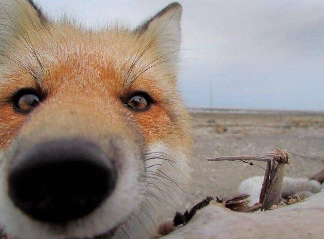 А7 разместила три выпуска ЦФА с привязкой к золоту и валюте