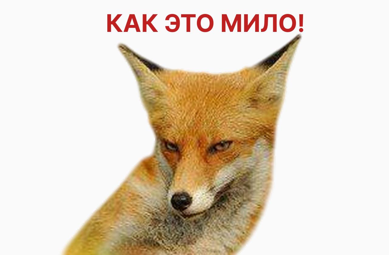 Песков: тема сотрудничества России и США стабилизирует энергорынки