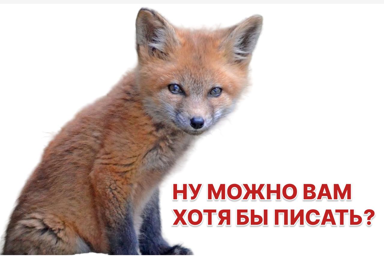 Евросоюз сохраняет санкции против России: пресс-секретарь Еврокомиссии прокомментировала решение США