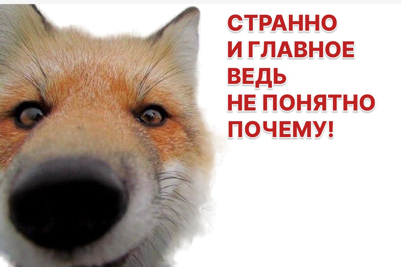 Фондовый рынок Дубая перешел в «медвежий» тренд из-за военных действий в регионе