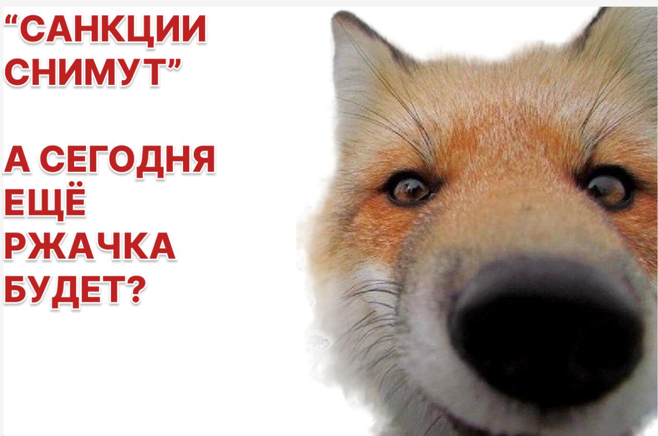 Возобновление санкций против российской нефти возможно при урегулировании конфликта с Ираном, заявил глава Минфина США