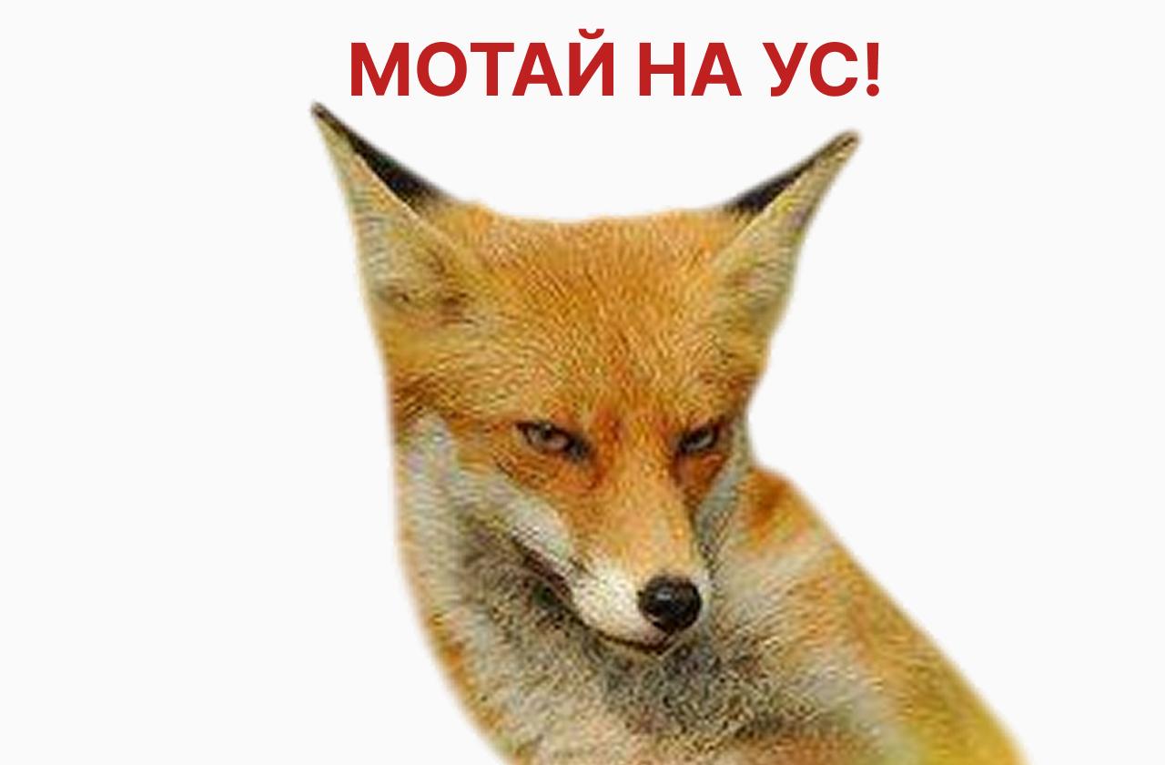 Минюст зарегистрировал новый порядок расчета рыночной цены акций для частных инвесторов на IPO и SPO