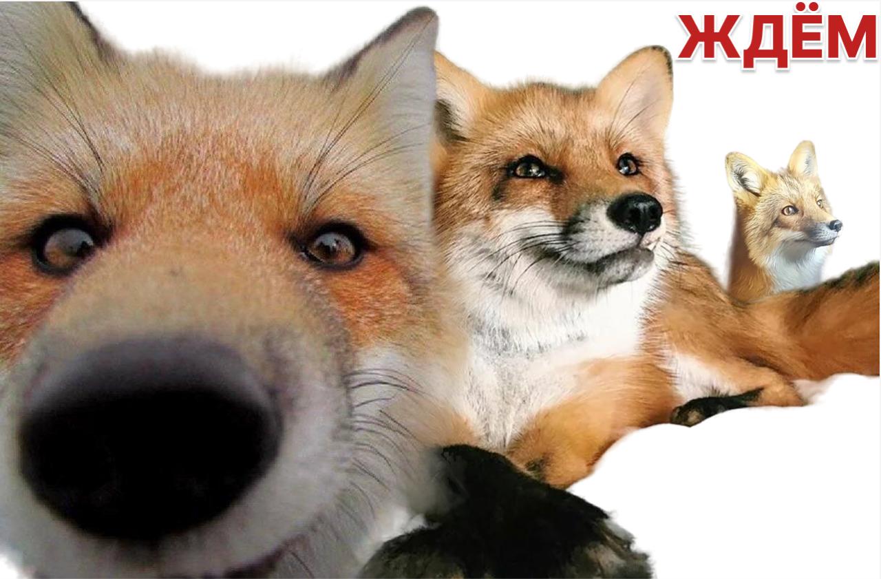 «Медси» может привлечь инвесторов до выхода на IPO