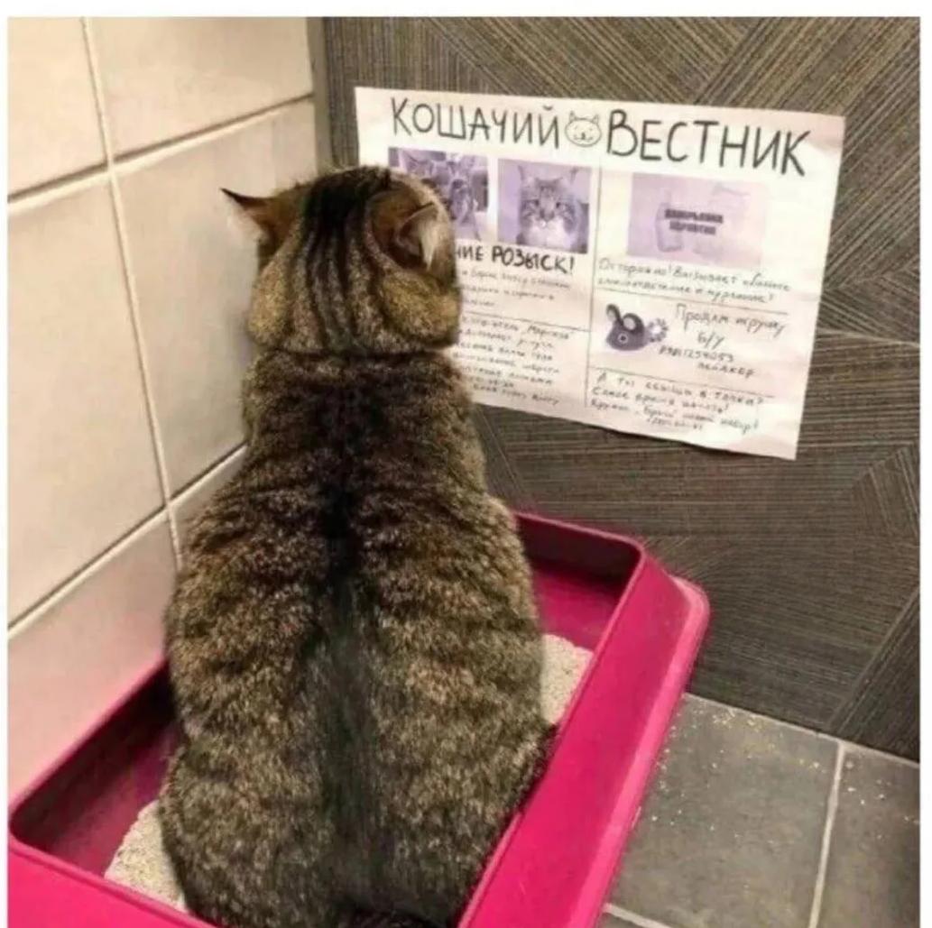 РФ увеличила выпуск минеральных удобрений в феврале на 4%