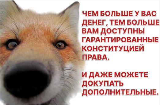 Правительство утвердило законопроект о защите прав владельцев привилегированных акций