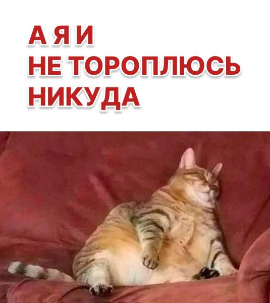 ОПЕК+ предупреждает о длительных последствиях атак на нефтяную инфраструктуру