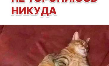 ОПЕК+ предупреждает о длительных последствиях атак на нефтяную инфраструктуру