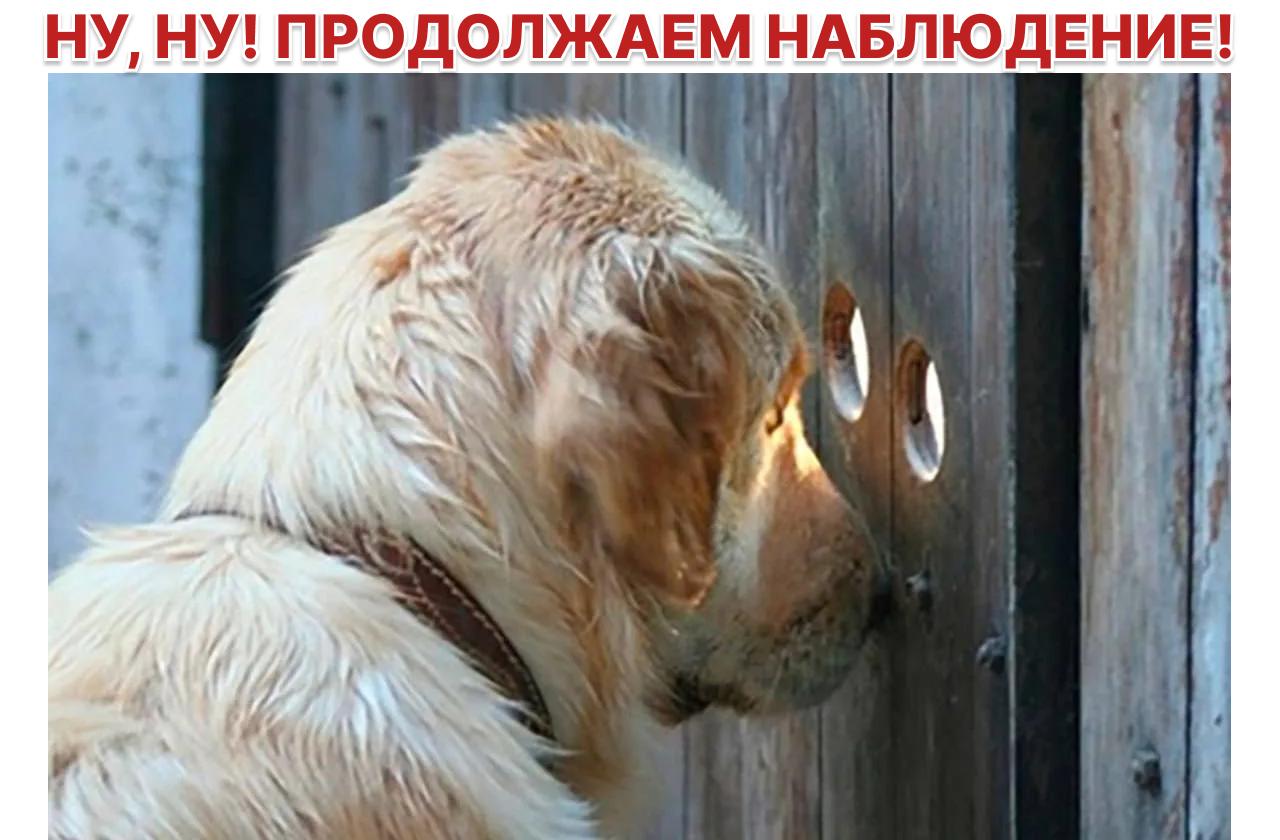 Оборот маркетплейса «М.Видео» за I квартал вырос в три раза