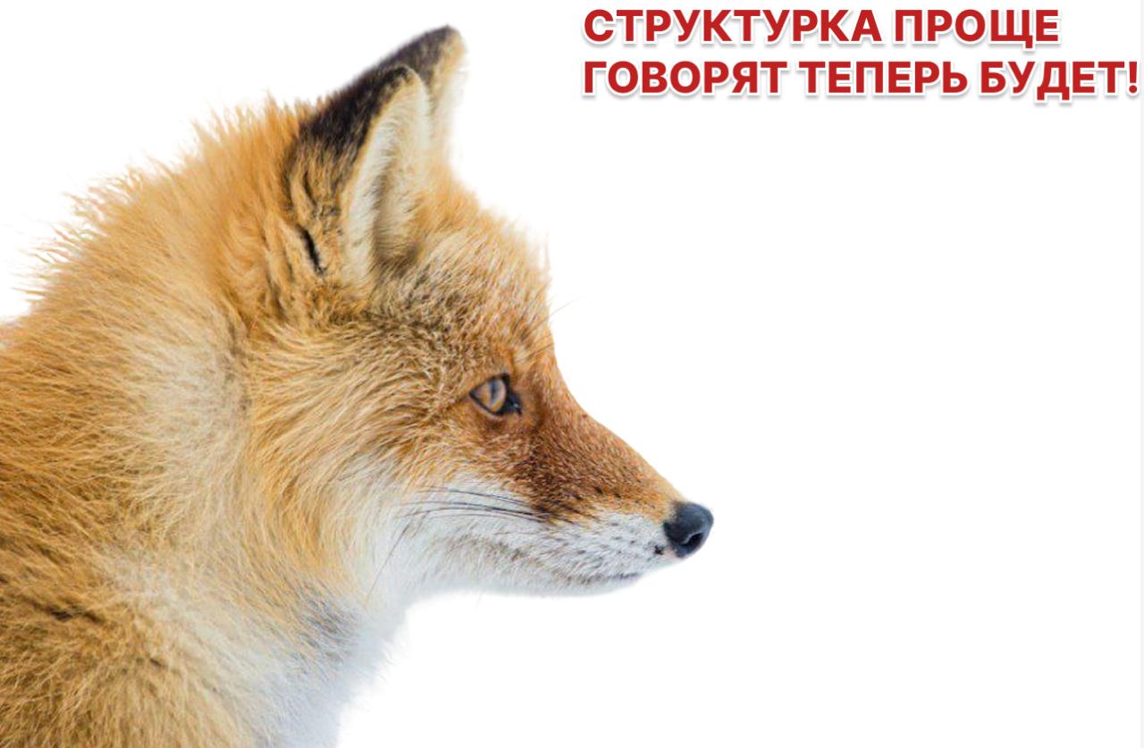 Акционеры ВТБ одобрили конвертацию префов в обыкновенные акции
