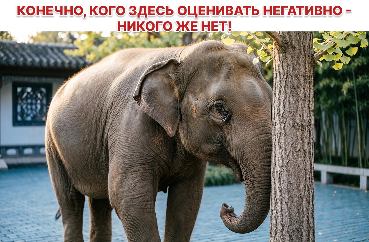 Moody's повысило прогноз по кредитному рейтингу Китая до «стабильного»