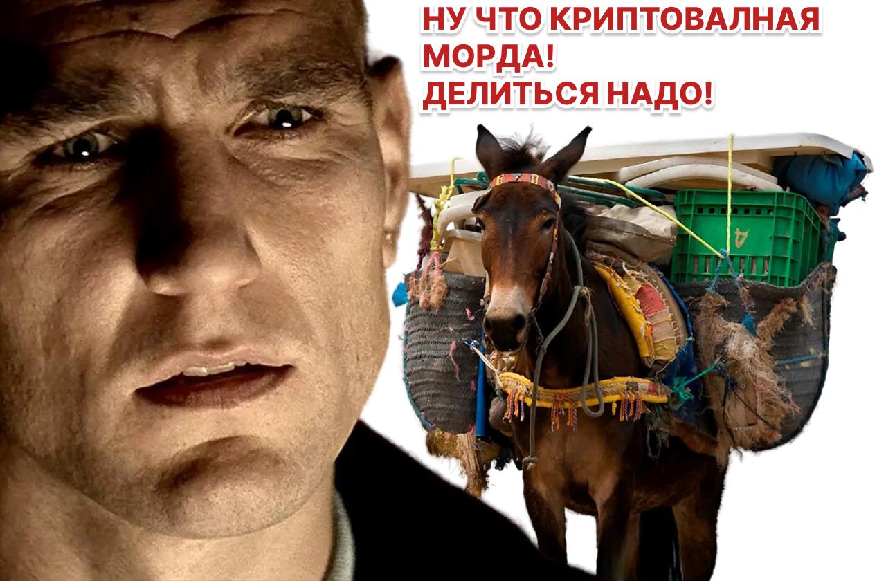Правительство РФ утвердило налог на криптовалюты и цифровые финансовые активы