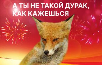Высокая цена нефти вредит рынку, заявил Новак