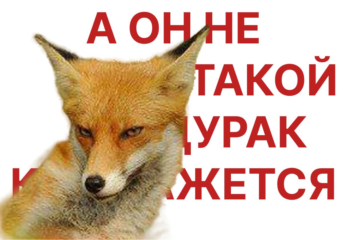 Высокая цена нефти вредит рынку, заявил Новак
