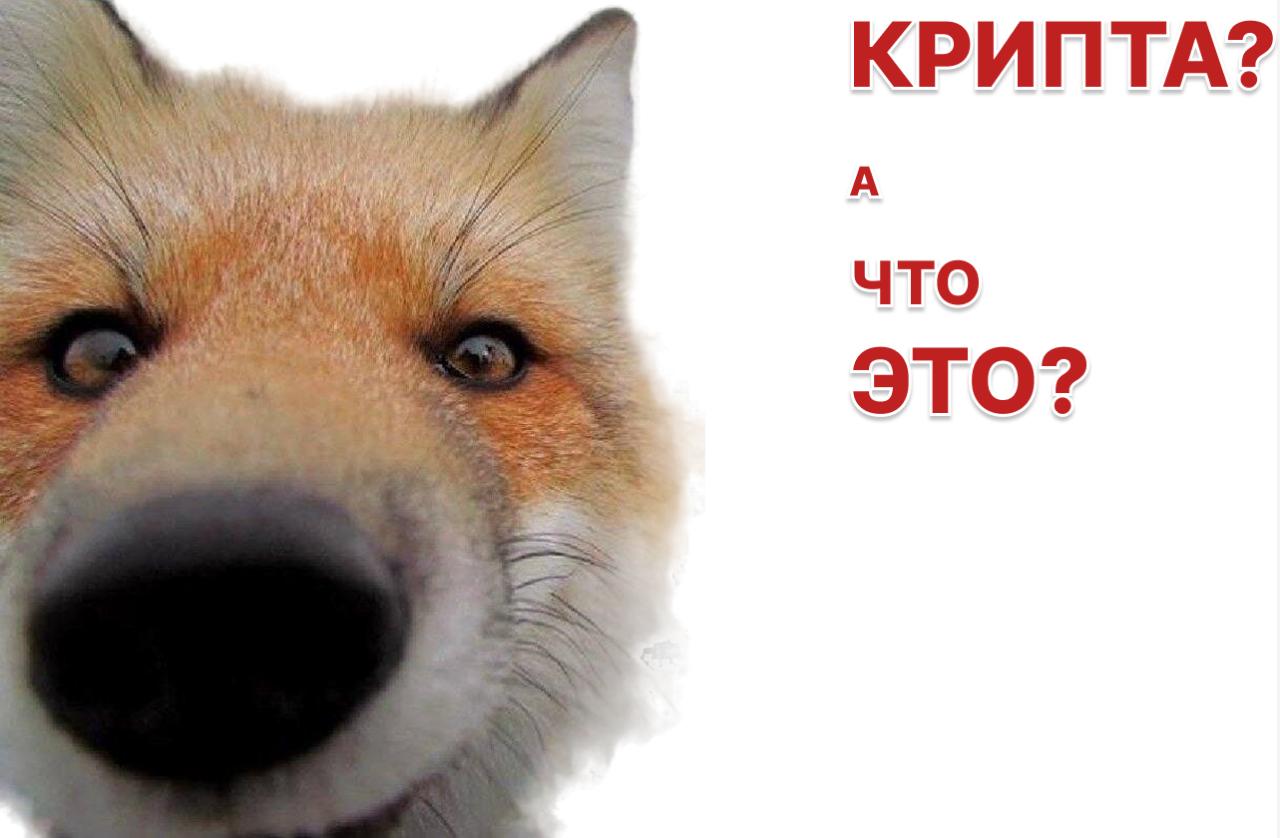 Более 17% криптоинвесторов используют криптовалюту для трансграничных платежей