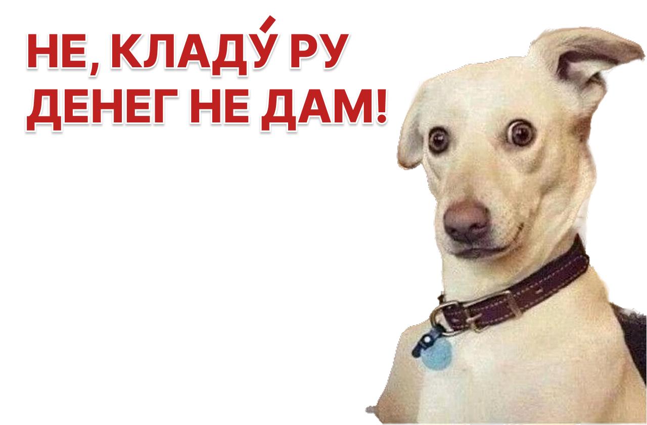 Cloud.ru впервые выйдет на долговой рынок с облигациями на 10 млрд рублей