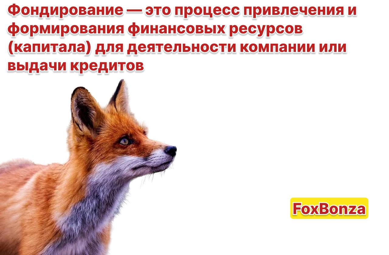 Ставки по вкладам: кто повышает, кто сохраняет стабильность