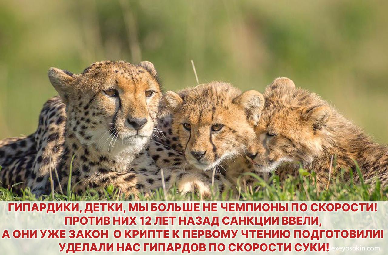Что сказали о крипторегулировании на Финконгрессе Банка России