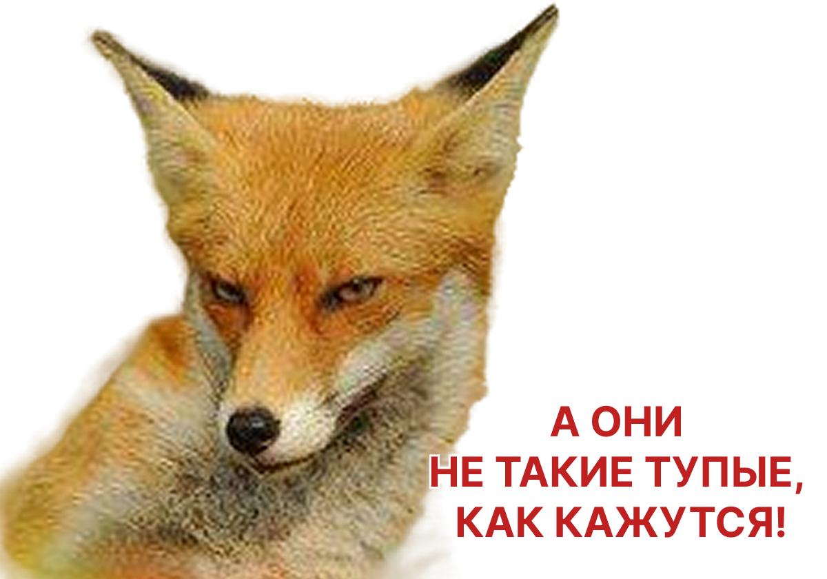 В АКРА ждут роста дефолтов эмитентов облигаций