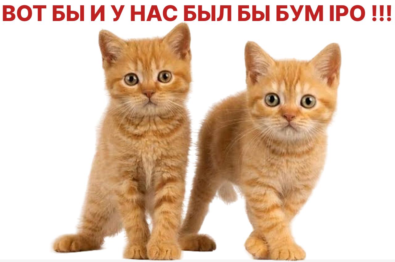 Рекордный объем IPO в сфере энергоинфраструктуры на фоне бума ИИ-технологий