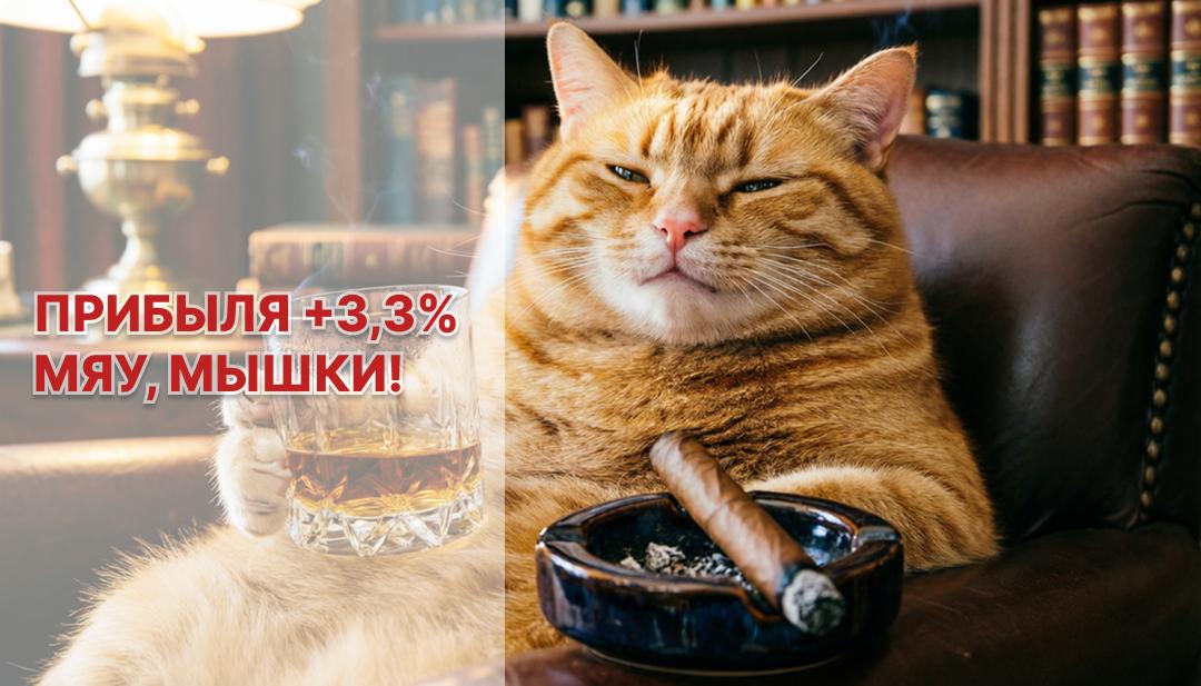Чистая прибыль российских банков в июне 2026 года выросла на 3,3%