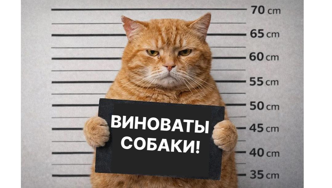ЦБ не видит проблем с ликвидностью в банковском секторе, рост ставок связан со стратегией крупных игроков