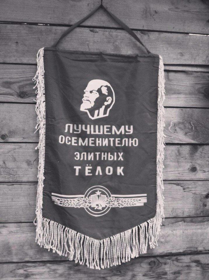 Совет директоров «Озон Фармацевтики» утвердил обновленную дивидендную политику