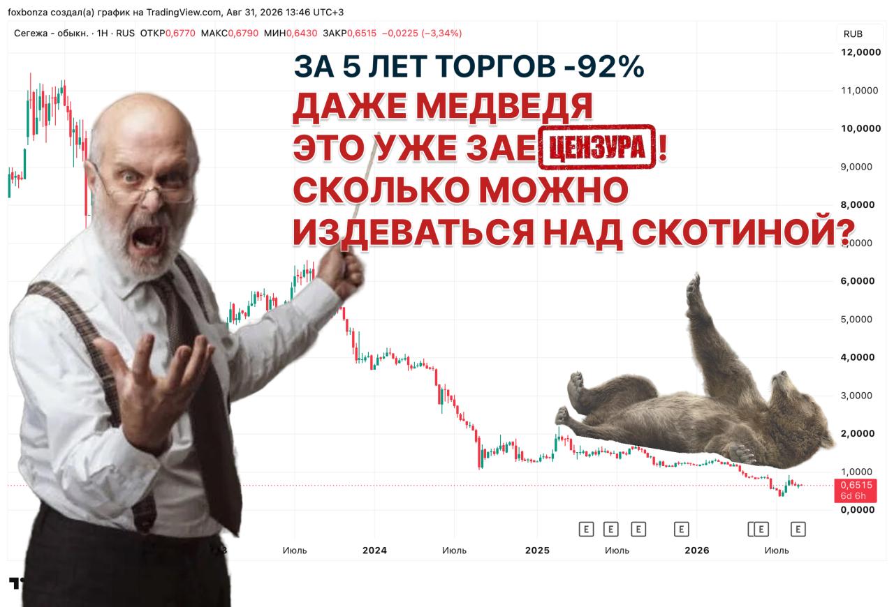 Финансовые показатели Segezha Group во II квартале: OIBDA снизилась на 10%, чистый убыток сокращается