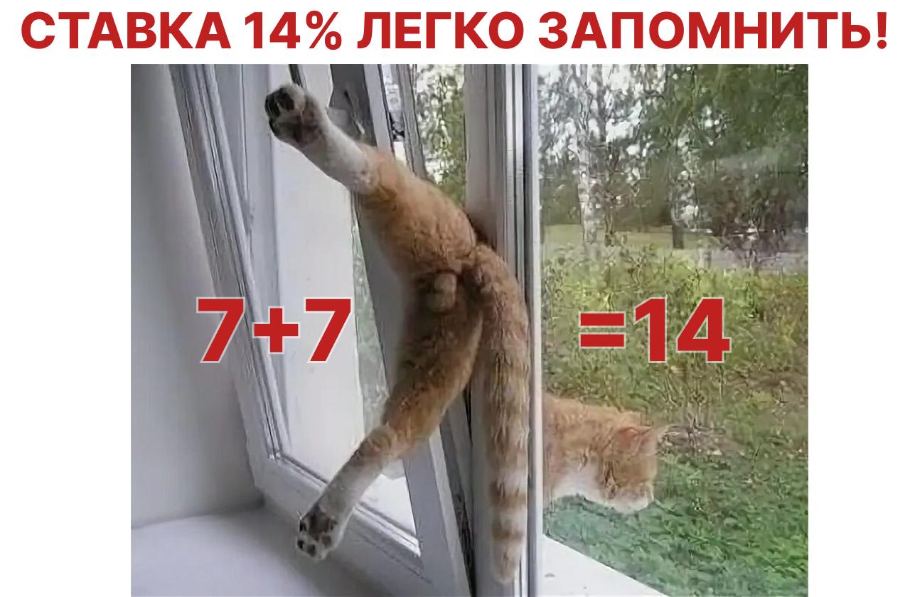 ЦБ сохранил ключевую ставку на уровне 14%, прервав цикл снижения