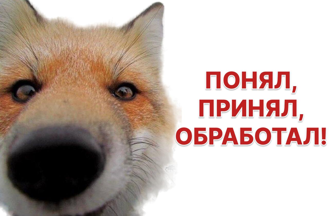 ЦБ сохранил ставку на 14%: главные тезисы пресс-конференции Набиуллиной