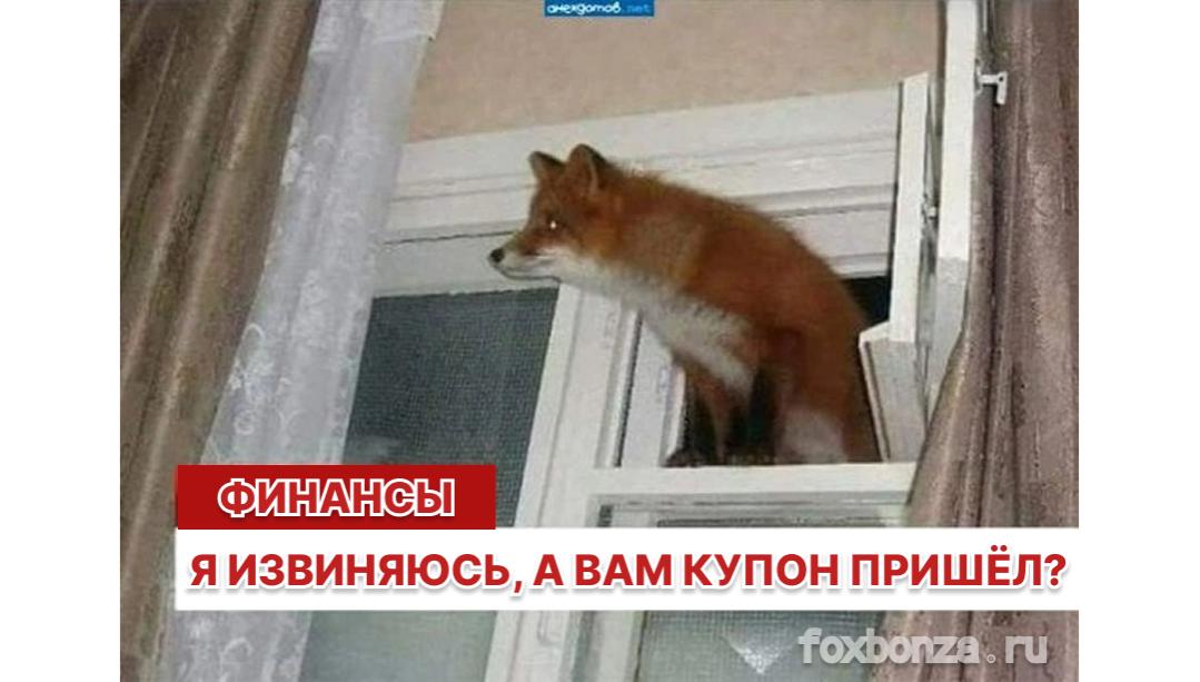 Минфин перечислил 8,6 млрд рублей для выплаты купона по евробондам «Россия-2035»