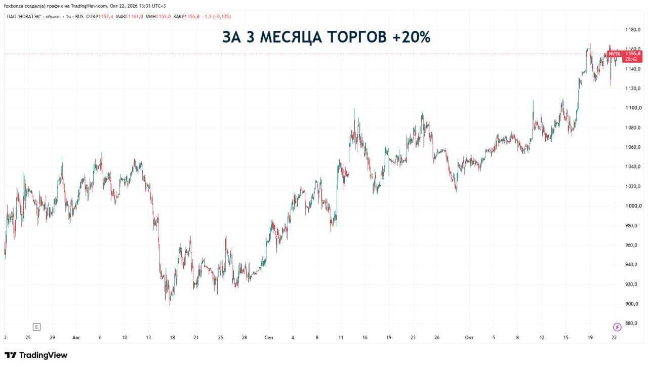Михельсон заявил, что Европа еще может пересмотреть решение о запрете импорта СПГ