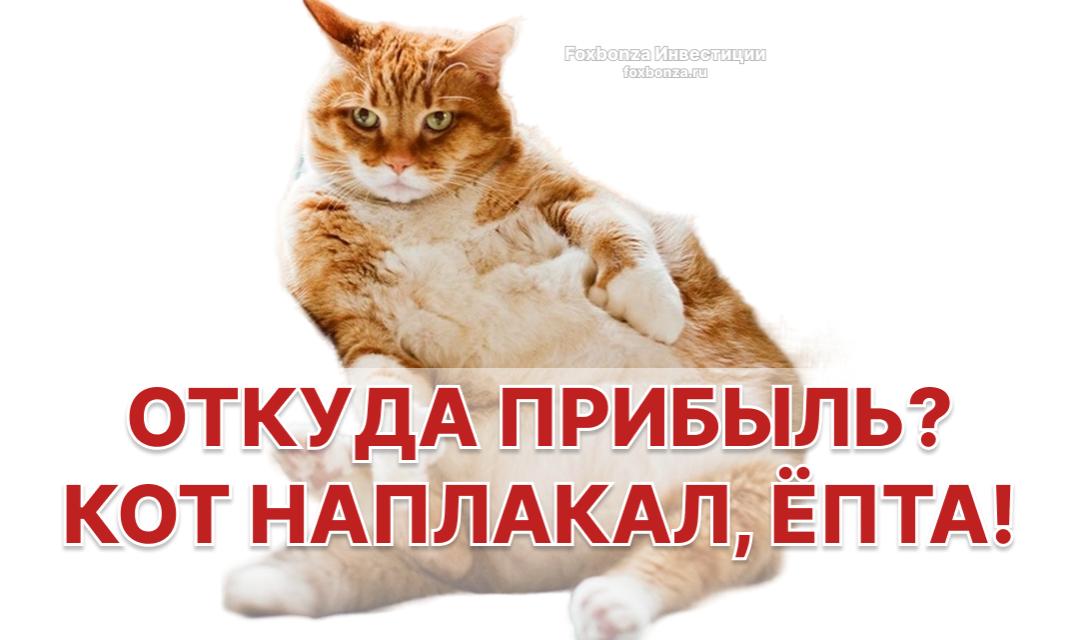 Т-Банк за девять месяцев увеличил чистую прибыль по РСБУ в 3,3 раза