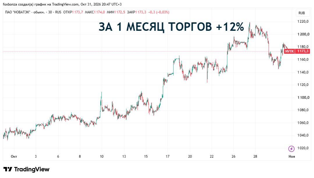 «НОВАТЭК» готов предложить африканским странам СПГ и технологии его производства